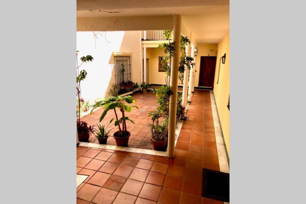 Gatu Villa Palma, Aire Acc Y Confort En El Centro Historico, " Preferente Mayores De 25 Anos Y Familias " El Puerto de Santa María Εξωτερικό φωτογραφία